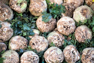 onions in the market