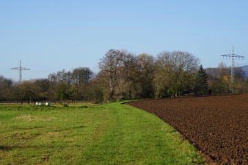 Sonnige Ackerflächen in Essingen in der Pfalz
