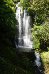 Fototapeta premium Neuseeland PioPio Waitanguru Falls
