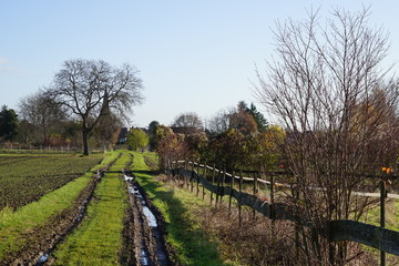 Fototapeta premium Sonniger Feldweg bei Essingen in Rheinland-Pfalz