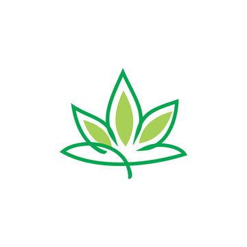 leaf lotus green logo design