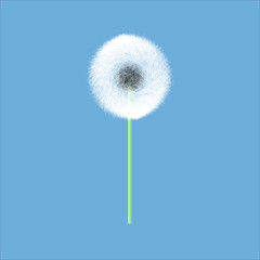 Dandelion - dente di leone © jasiViki