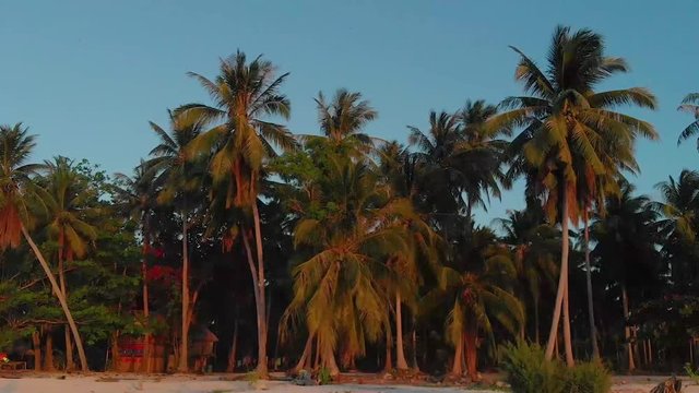 4K aerial landscape of palm tree jungle at sunset in tropical paradise Candaraman island in Balabac, Philippines. Sunset at tropical Island surrounded by lots of palm trees.