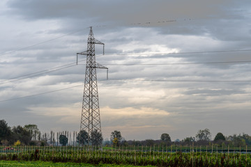 electricity pylons in a field