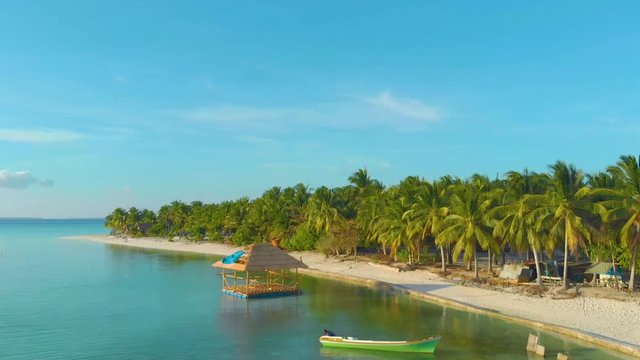 4K Aerial landscape of tropical coast and lots of palm trees with endless turquoise ocean and white sand in paradise Onok island in Balabac. Tropical vacation concept in Palawan, Philippines