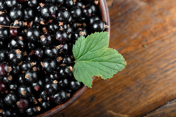 raw currants on the table