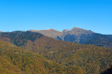 landscape in the mountains