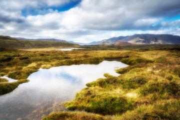 Obraz premium moss covered lava field in the highlands of Iceland