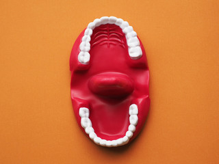 Latex mouth puppet. show and teach children proper tongue placement by opening and closing the mouth and manipulating the tongue.