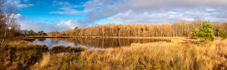 Fototapeta premium Peat lake in the Netherlands in autumn time ], beautiful blue sky and reflections in the water, picture taken in the province Drenthe nearby the village Steenbergen