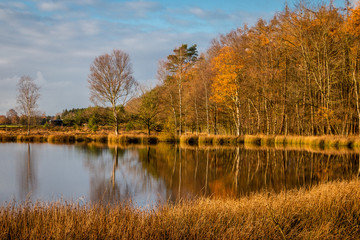 Fototapeta na wymiar Peat lake in the Netherlands in autumn time ], beautiful blue sky and reflections in the water, picture taken in the province Drenthe nearby the village Steenbergen