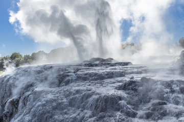 Pohutu Geysir im Te-Puia-Thermalpark im Whakarewarewa Valley auf der Nordinsel von Neuseeland