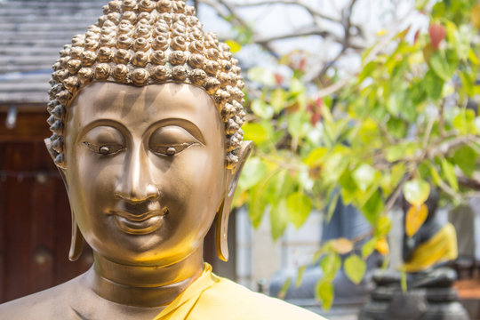 statue of buddha in Sri Lanka