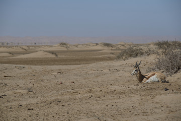Namibia