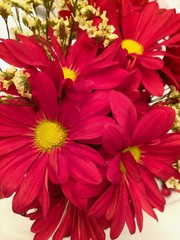 bouquet of red flowers