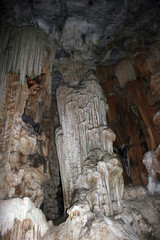 Nature on land and water