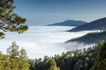 Obraz premium Cloud waterfall of La Palma