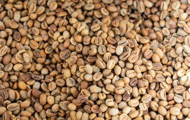 blurred green coffee bean for background