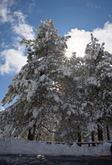 Fototapety na wymiar - Fototapeta24.pl