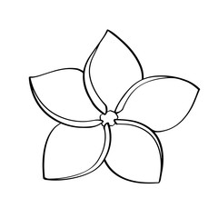 Plumeria flower linear icon isolated on white background. Single line art frangipani. Spa salon design element. Aromatherapy contour symbol. Stock illustration.