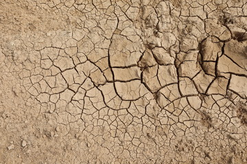 Getrocknete Erde