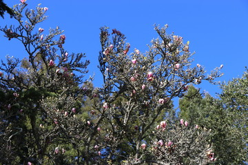 Nature, water and land