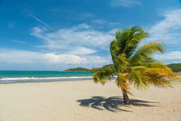 Obraz na płótnie Canvas Sand beach in Cuba