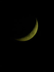 Luna crescente 15% © Steve Fossiant
