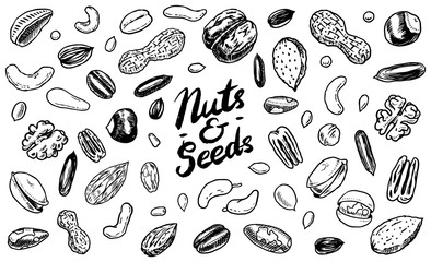 Nuts mix background. Seeds and granule, corn and grain. Hazelnut, Walnut, Almonds. Food concept. Top view. Vintage poster. Engraved hand drawn sketch. Set of doodle icons, signs in Monochrome style.