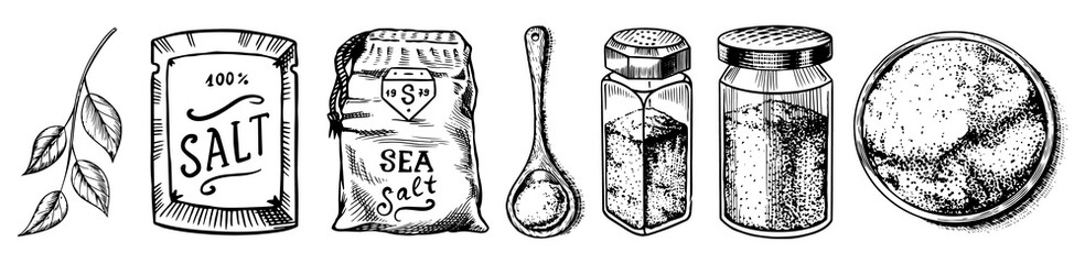 Sea salt set. Glass bottles, packaging and and leaves, wooden spoons, powdered powder, spice in the hand. Vintage background poster. Engraved hand drawn sketch. 