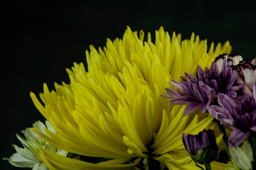 Fototapeta premium bouquet of flowers with yellow chrysanthemums