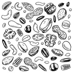 Nuts mix background. Seeds and granule, corn and grain. Hazelnut, Walnut, Almonds. Food concept. Top view. Vintage poster. Engraved hand drawn sketch. Set of doodle icons, signs in Monochrome style.