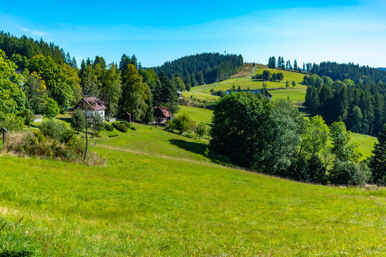 Summer mountain landscape with blue sky, Road through a meadow - Moravian-Silesian Beskydy, Grun, Czechia