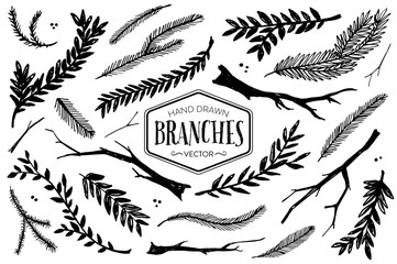 Set of hand drawn branches. Ink illustration.
