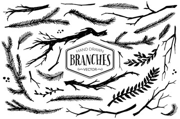 Set of hand drawn branches. Ink illustration. - 306590342