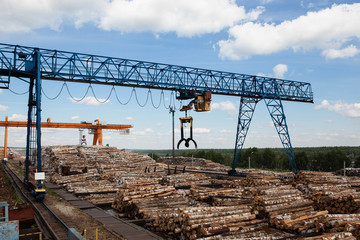 Fototapeta na wymiar The work of a gantry crane in the plywood factory