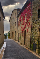 2019-11-03 TUSCAN STREET IN MULTIVERDI ITALY