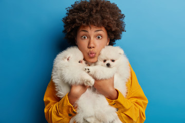 Veterinary, animals and people concept. Surprised teenage girl carries two pedigree puppies, rest together after visiting vet and having walk, cant imagine her life without dogs, likes spitz