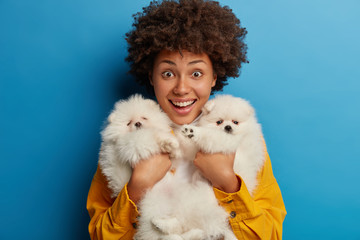 Horizontal shot of curly joyous woman holds tightly two pedigree puppies with white fur, enjoys present from boyfriend, likes devoted domestic animals, expresses positive emotions. Pomeranian spitz