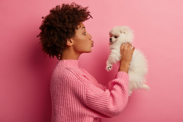Profile shot of Afro American woman kisses breed dog, raises in hands, wears knitted sweater, poses against pink background, has playful mood, expresses love, likes playing with small puppy.