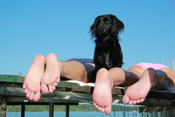 Pies stróżujący  © nitka_zaplatana