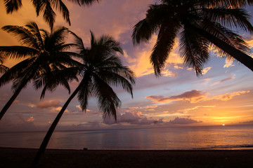 Naklejka na ściany i meble tropical beach sunset