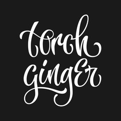White colored hand drawn spice label -torch ginger. Isolated calligraphy scrypt stile word. Vector lettering design element.