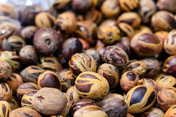 nutmeg closeup