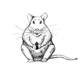 Нand sketch rat,mouse. Rodent for the festive poster for printing.The rat sits and holds the seed in his paws.