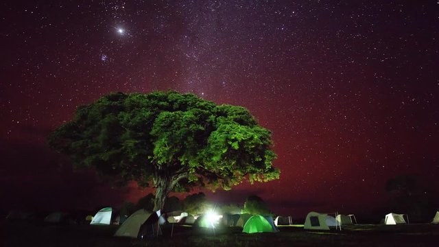 Starry sky and camping in the African savannah