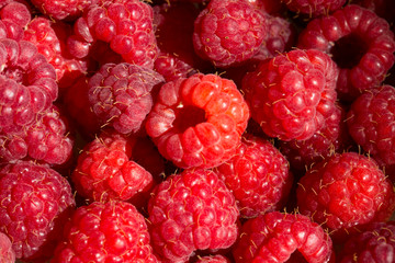 Himbeeren