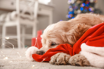 Cute dog with Santa hat in room decorated for Christmas