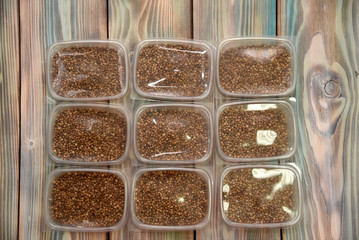Seeds in containers