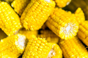 Corn on the cob in a bowl cooked
